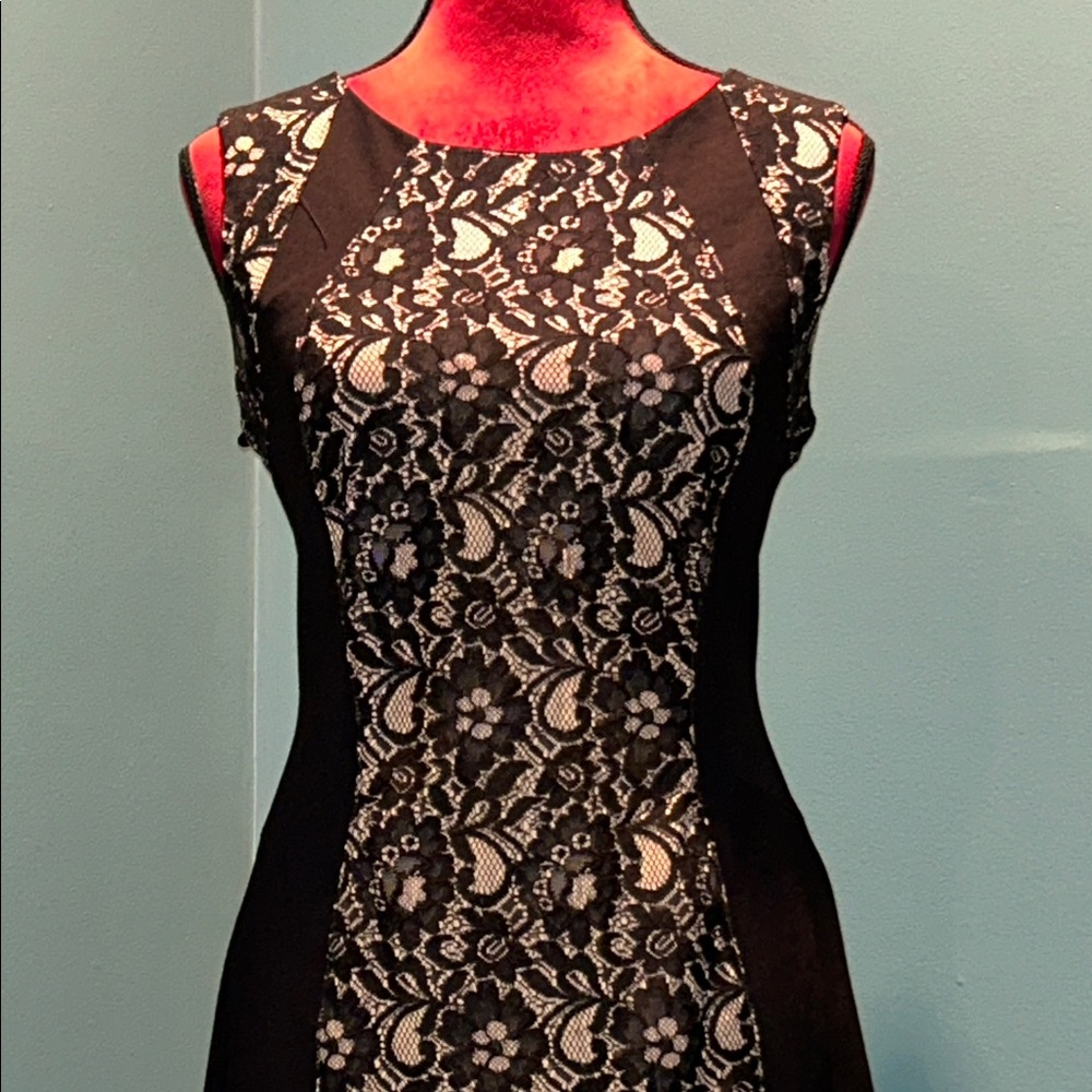 Katherine Barclay Elegant Black and Cream Lace Dress Size 10 - Picture 2 of 15